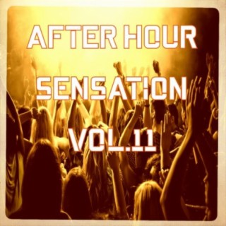 After Hour Sensation, Vol.11