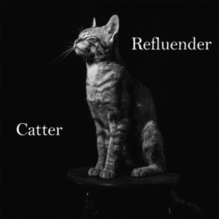 Catter