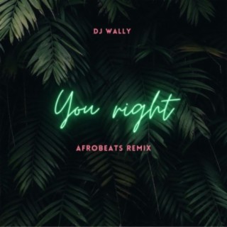 You Right (Afrobeats Remix Instrumental)