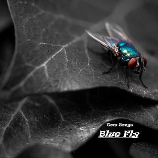 Blue Fly