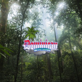 Comforting Rain Sounds - Natural Rainforest Sounds