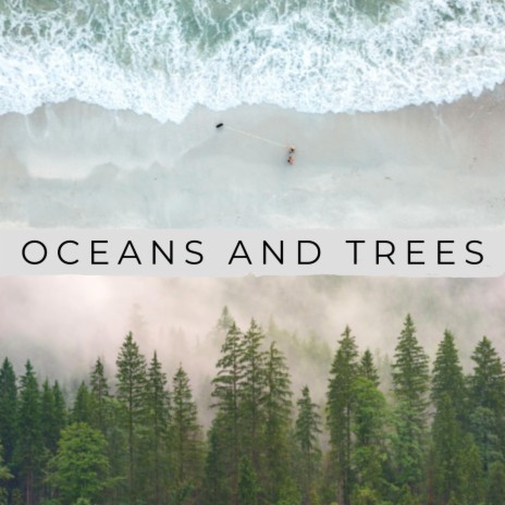 Oceans and Trees (feat. Jordan Brady Kelly) | Boomplay Music