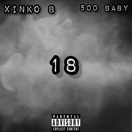 18 ft. xinKo B