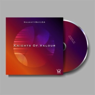 Knights Of Valour