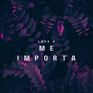 Me Importa