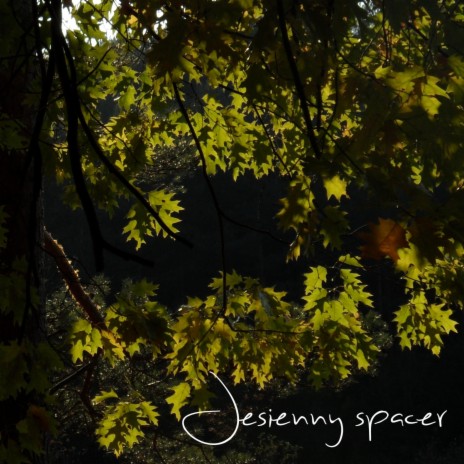 Autumn Leaves Covering The Ground | Boomplay Music