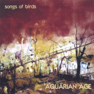 Aquarian Age