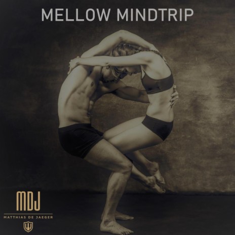 Mellow Mindtrip | Boomplay Music