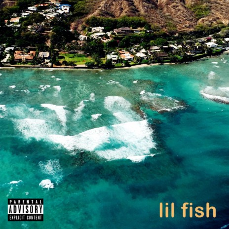 Lil Fish | Boomplay Music