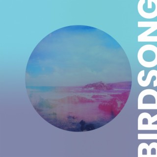 Birdsong (2023 Version)