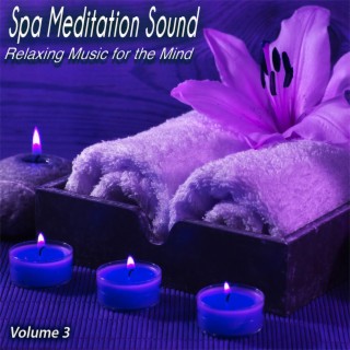 Spa Meditation Sound, Vol. 3 - Relaxing Music for the Mind