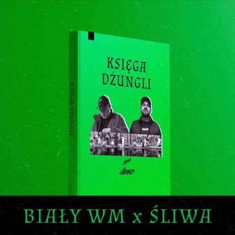 Księga dżungli ft. Sliwa & DJ Remisz | Boomplay Music