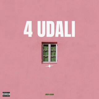 4 UDALI