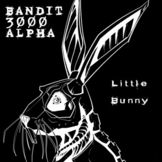 Little Bunny