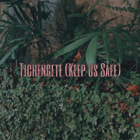 Tichengete (Keep Us Safe) | Boomplay Music