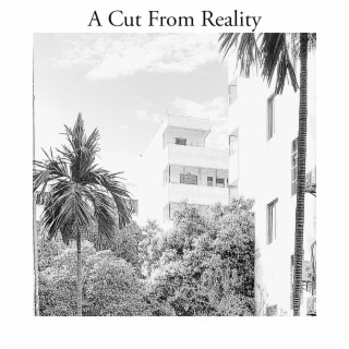 A Cut From Reality