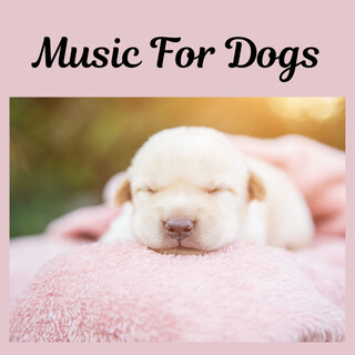 Music For Dogs