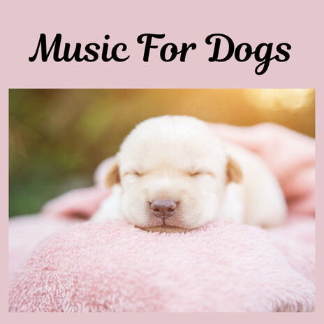 Relaxation for Hyper Dogs ft. Music For Dogs Peace, Relaxing Puppy Music & Calm Pets Music Academy