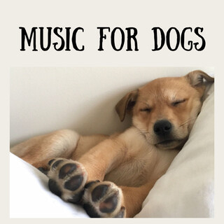 Music For Dogs