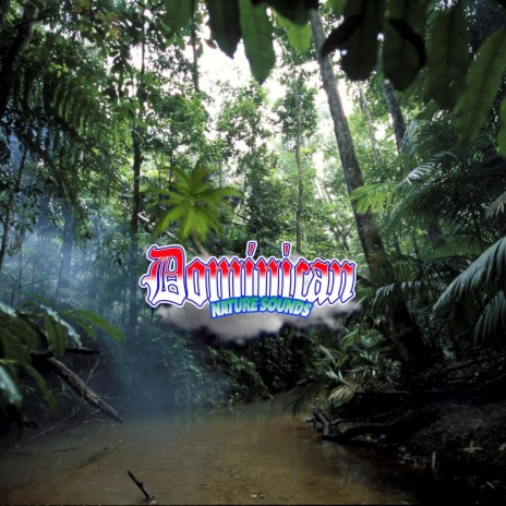 Serendipitous Rainforest Quests