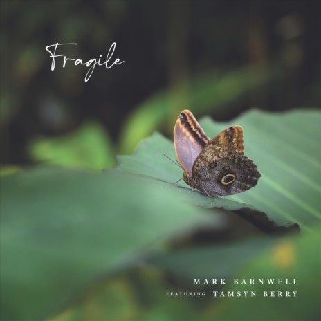 Fragile (feat. Tamsyn Berry)