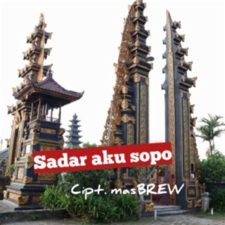 Sadar Aku Sopo