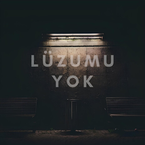 Lüzumu Yok | Boomplay Music