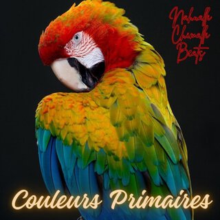 Couleurs primaires