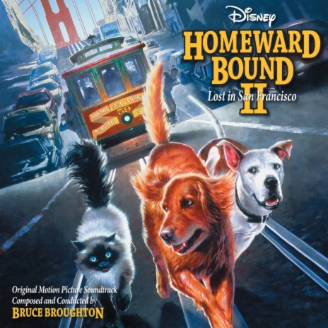 Nose Radar (From "Homeward Bound II: Lost in San Francisco"/Score) | Boomplay Music