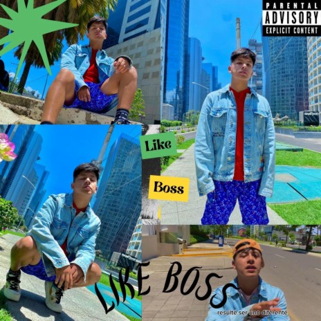 Like Boss | Boomplay Music