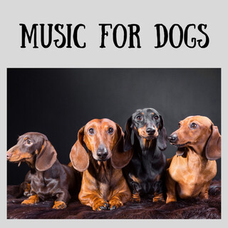 Music For Dogs