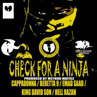 Check for a Ninja
