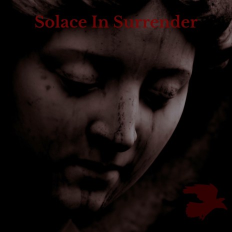 Solace In Surrender | Boomplay Music