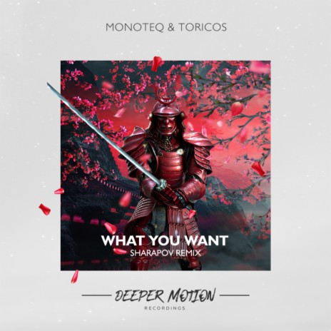 What You Want ft. Toricos | Boomplay Music