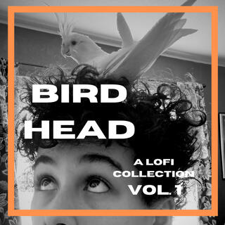 Birdhead, Vol. 1