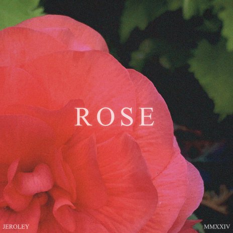 Rose | Boomplay Music