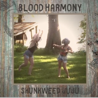 Blood Harmony