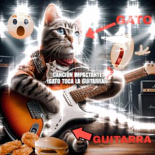 Gato con guitarra 2