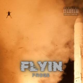 FLYIN FROGS