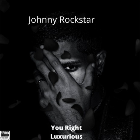 You Right Luxurious | Boomplay Music