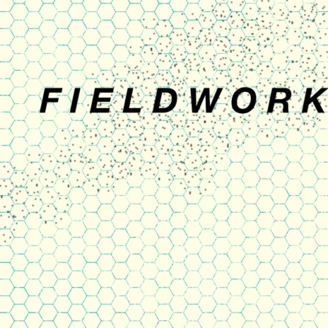 Fieldwork | Boomplay Music