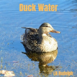 Duck Water