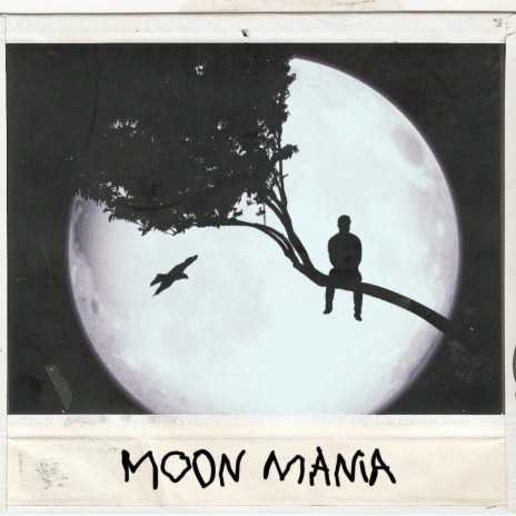 Moon Mania | Boomplay Music