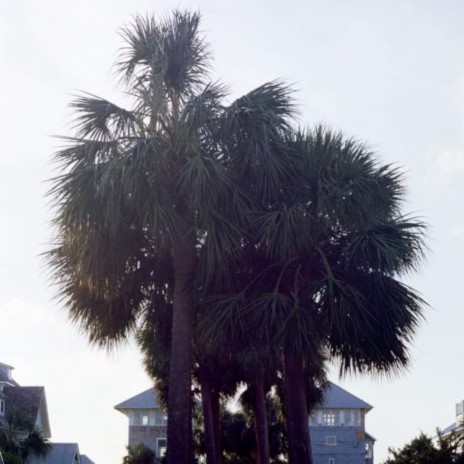 Palmetto ft. Bakuto