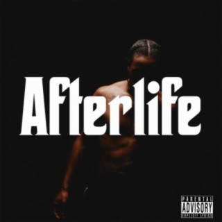 Afterlife