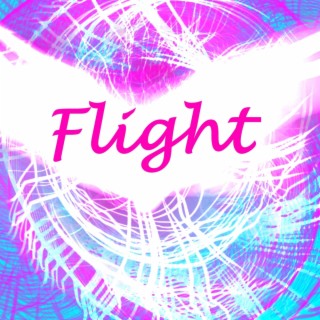 Flight