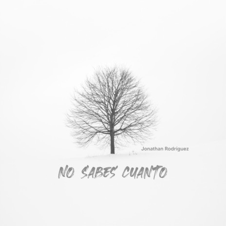 No Sabes Cuanto | Boomplay Music