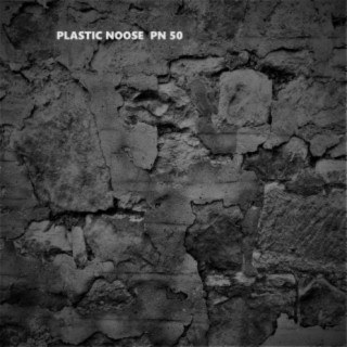 PN 50 (Best of Plastic Noose 2010 to 2020)