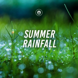 Summer Rainfall