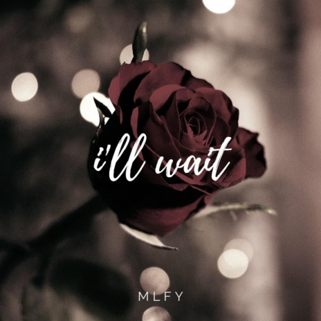 I'll Wait | Boomplay Music